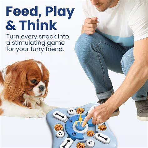 Interactive Treat-Dispensing Puzzle Toy